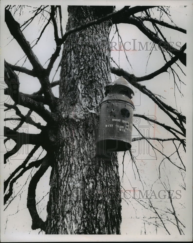 Load image into Gallery viewer, 1964 Press Photo New Wood duck home in old milk can - mja07037

