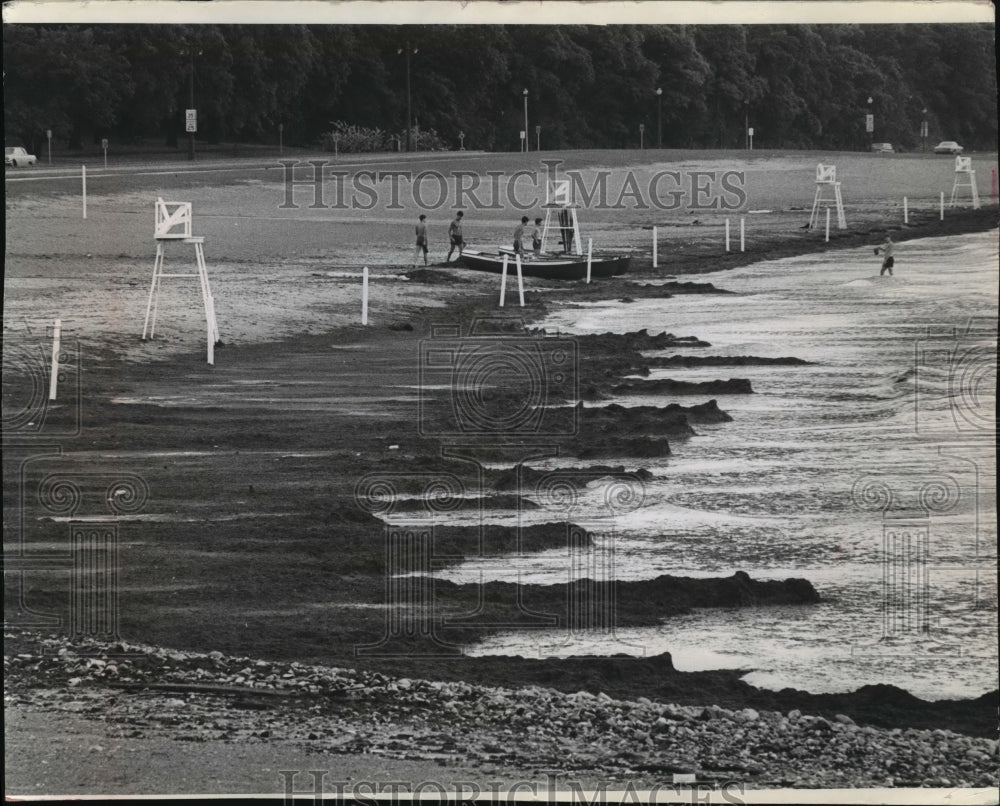 1968 Press Photo Algae covered sand along Bradford Beach- Historic Images