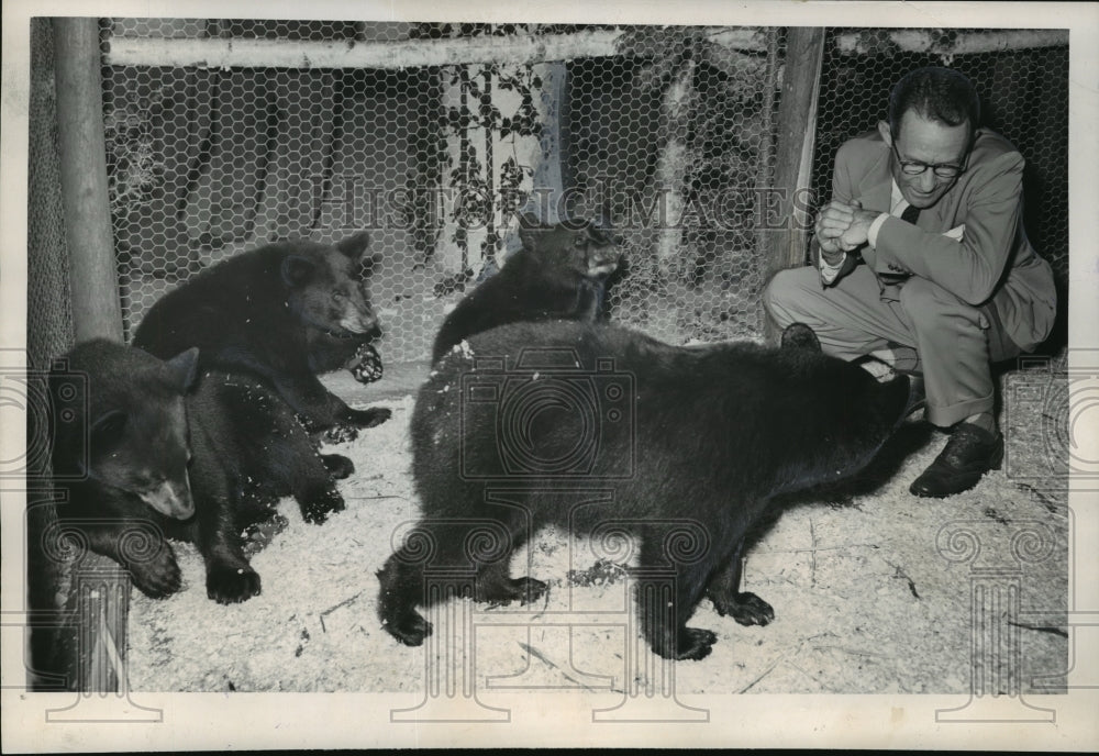 1939 Press Photo Ed Dodd w/ Wisconsin bears at the Wisconsin Outdoor Exposition- Historic Images