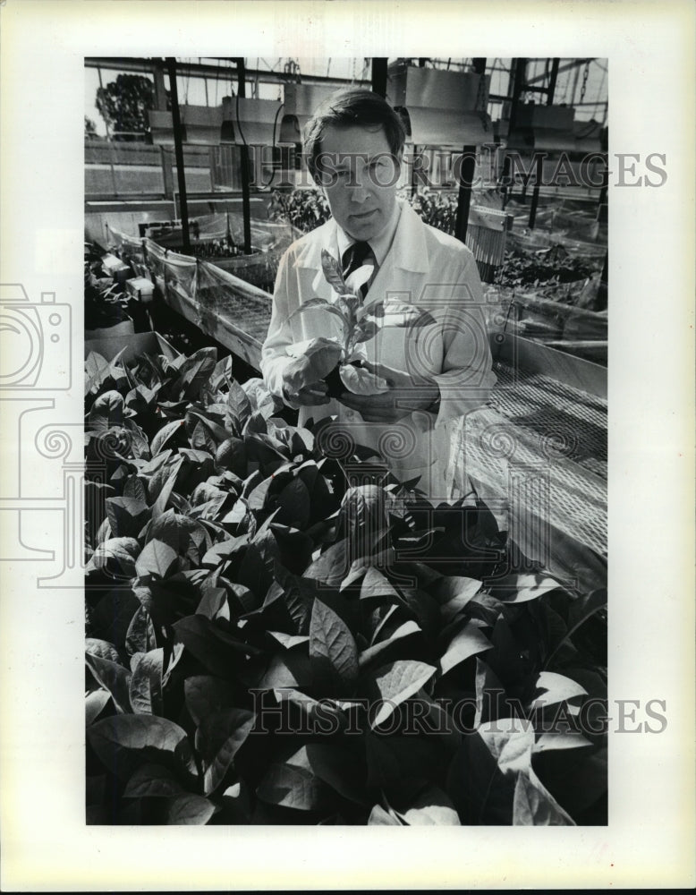 1985 Press Photo Winston Brill: He found his calling in a lecture hall- Historic Images