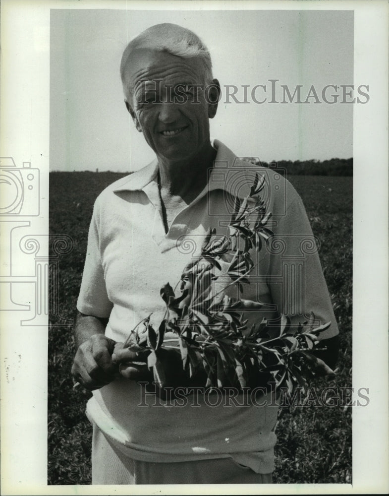 1965 Press Photo Melvin Volkert with lupin bean plant - mja10180