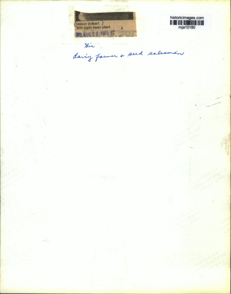 1965 Press Photo Melvin Volkert with lupin bean plant - mja10180