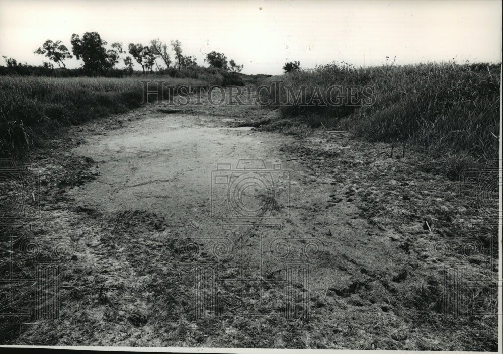 1988 Press Photo This open area at east end of Frog Alley Rd. in Vernon Marsh- Historic Images