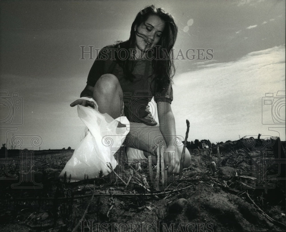 1993 Press Photo Jessica Reynolds picks spears of asparagus at Marks Country- Historic Images