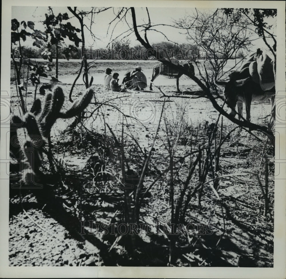 1962 Press Photo Farmland in Brasilia, Brazil - mja12230