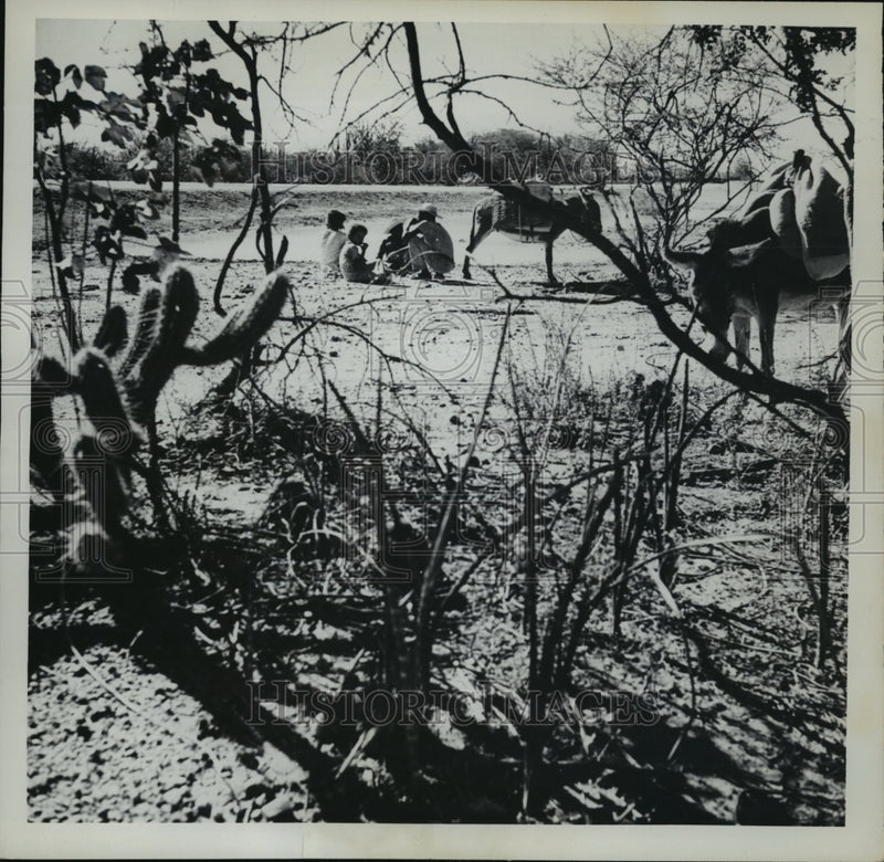 Load image into Gallery viewer, 1962 Press Photo Farmland in Brasilia, Brazil - mja12230

