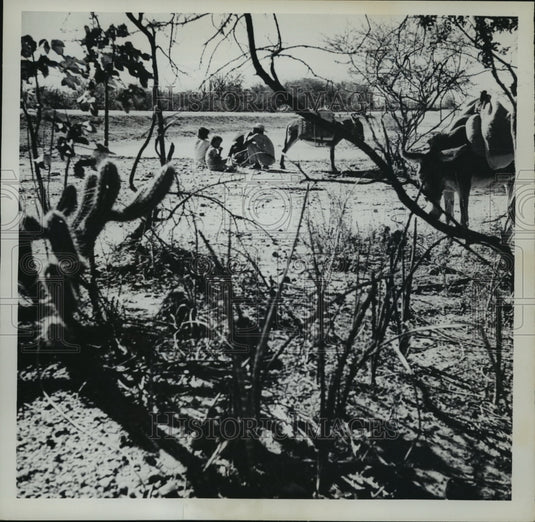 1962 Press Photo Farmland in Brasilia, Brazil - mja12230
