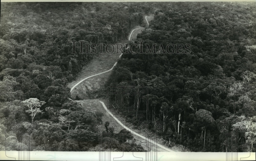 1980 Press Photo The Trans-Amazon highway threaded a ribbon of clearing Brazil- Historic Images