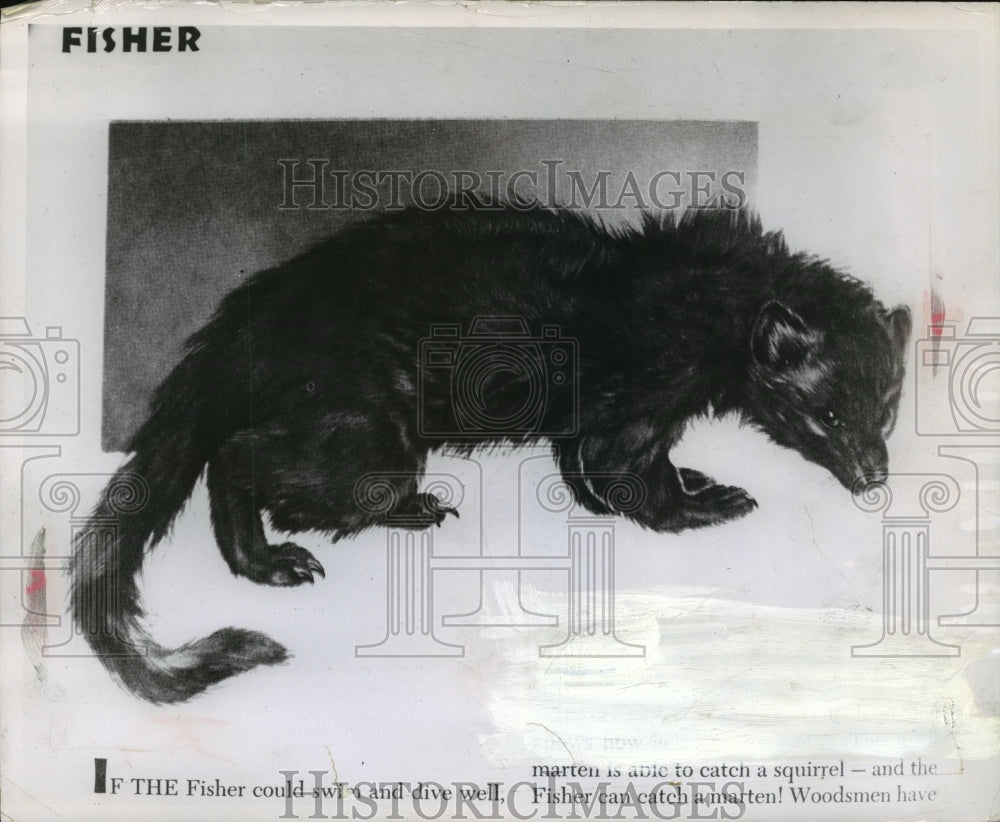 1962 Press Photo The Fisher makes a comeback - mja13416- Historic Images