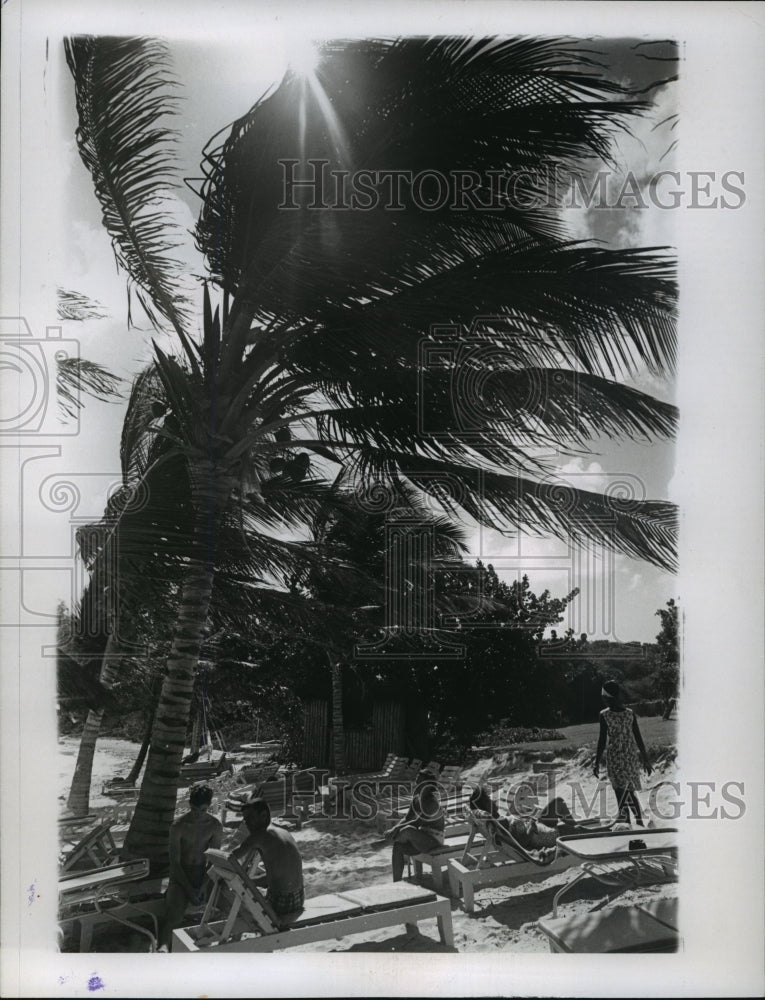 1967 Press Photo Tourist at Half Moon Bay, Antigua, British West Indian island - Historic Images