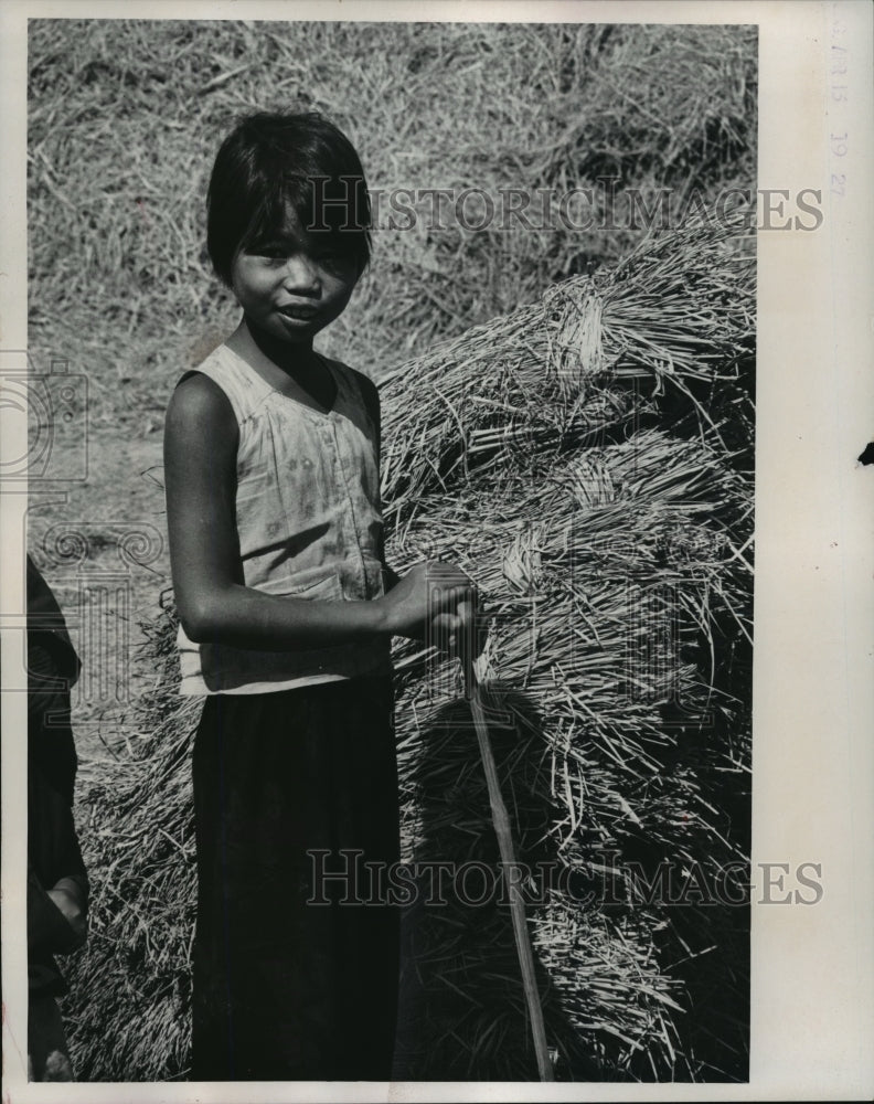 1967 Press Photo Daughter of Vietnamese farmer paused in her job- Historic Images