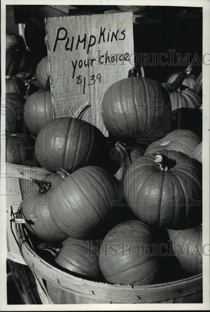 1993 Press Photo Pumpkins come in kid sizes, too.- Historic Images