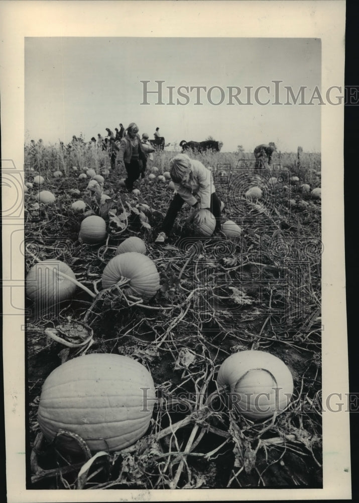 1984 Press Photo Green Meadows Farm in Waterford Favorite Field Trip Destination- Historic Images