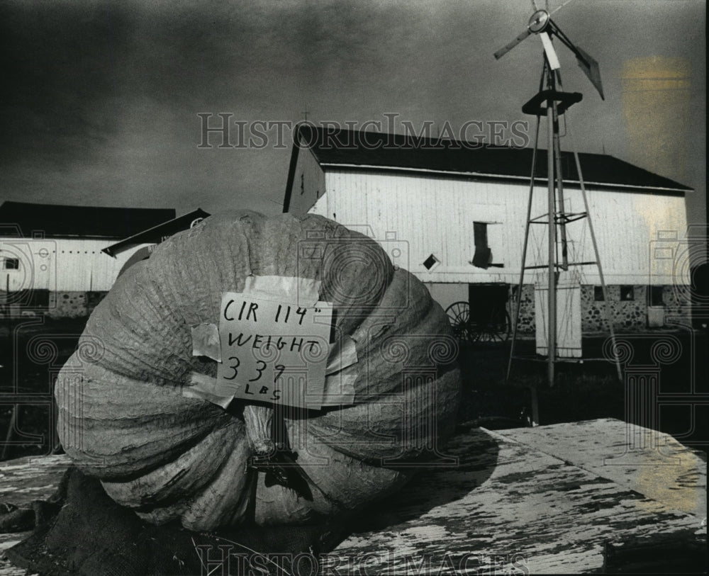 1989 Press Photo A giant grown pumpkin by Fred and Cecelia Aicher - Historic Images