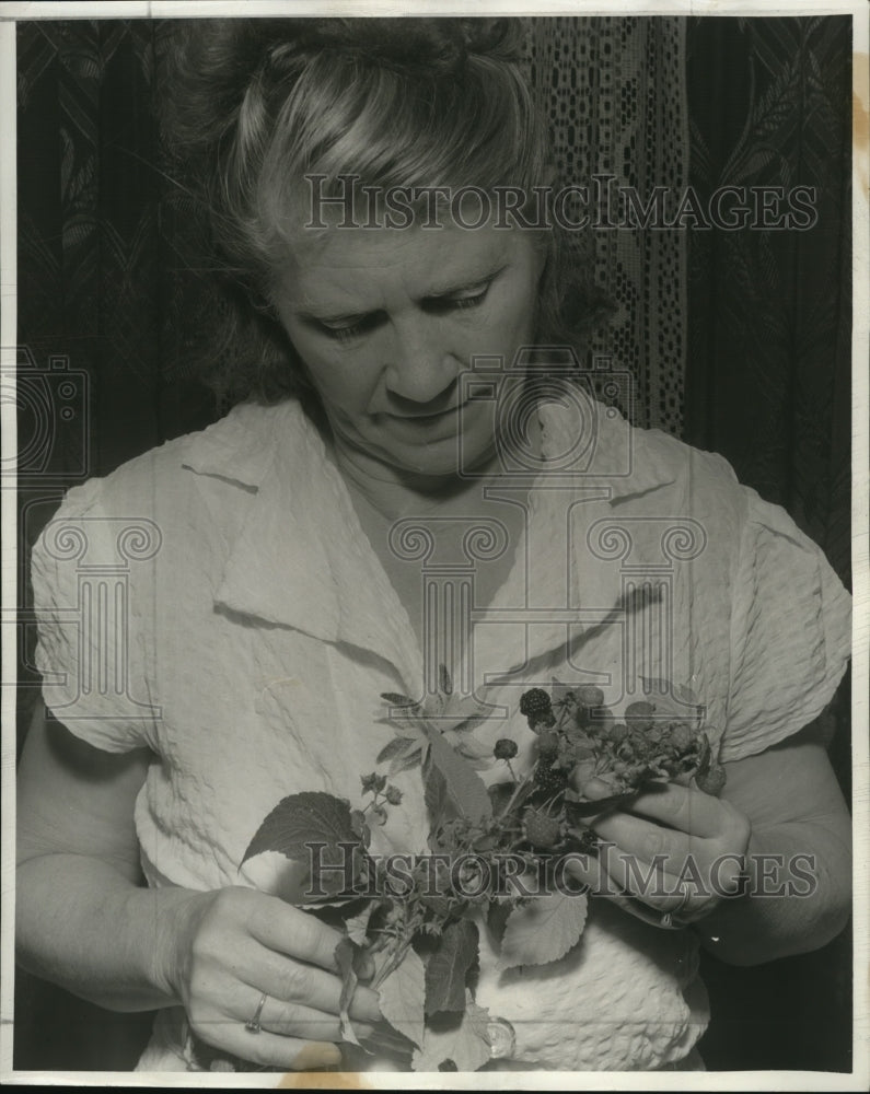 1943 Press Photo Mayville- Historic Images