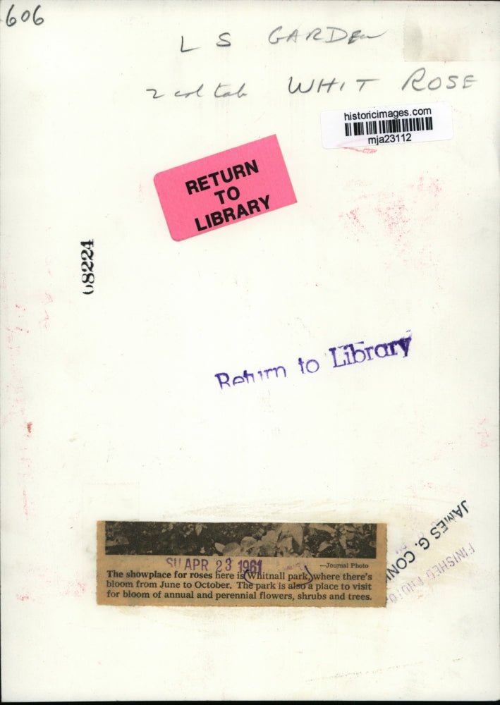 1961 Press Photo The showplace for roses here is Whitnall Park - mja23112