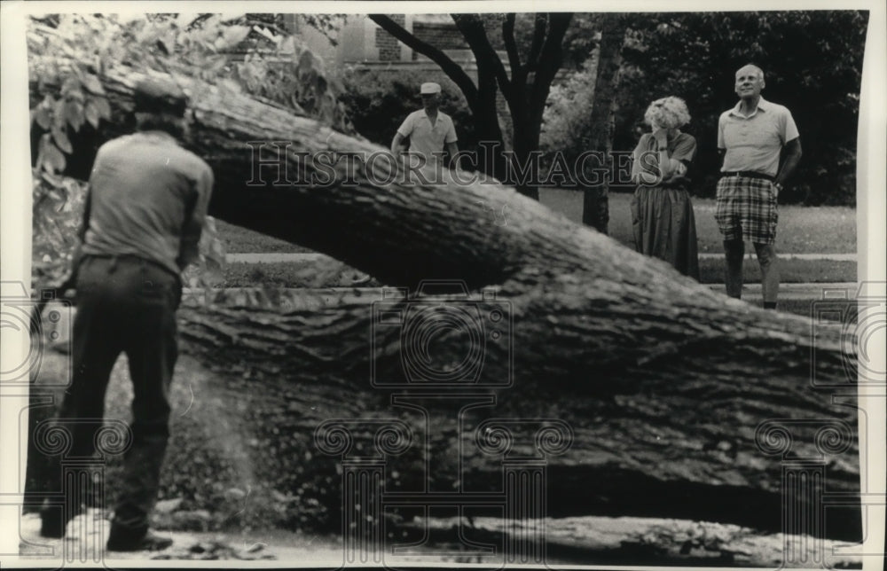 1990 Press Photo Howard Dahms Watches Trimming of Elm Tree in Whitefish Bay- Historic Images