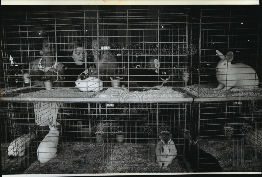 1990 Press Photo Competitors, Rabbits before Judging at Washington County fair- Historic Images