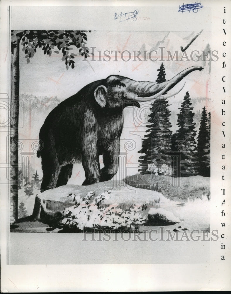 1962 Press Photo Early inhabitants of Wisconsin: The Mastodon - Historic Images