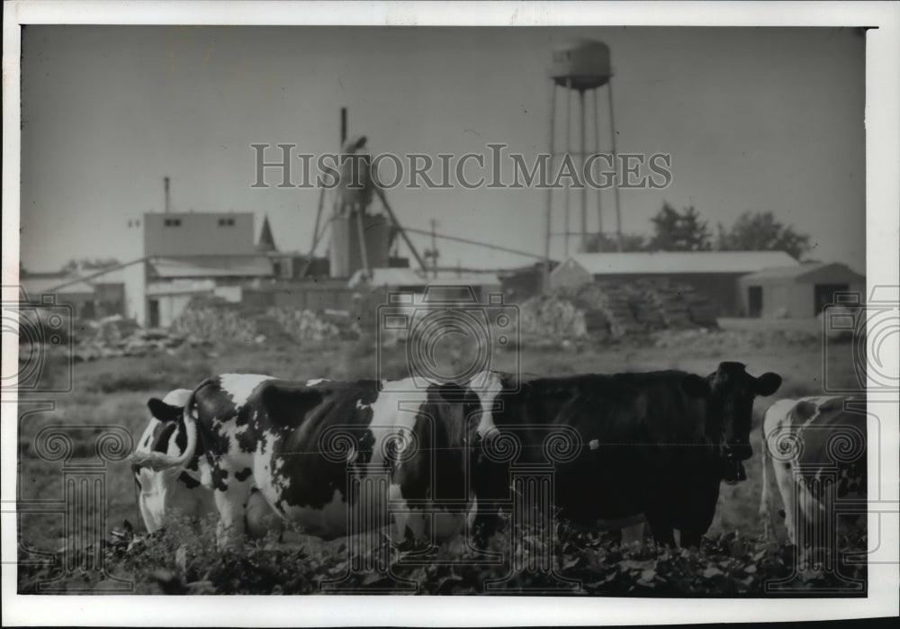 1989 Press Photo Workers at Ike International, the largest manufacturing plant