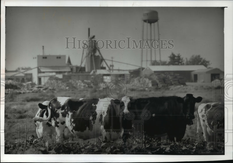 Load image into Gallery viewer, 1989 Press Photo Workers at Ike International, the largest manufacturing plant
