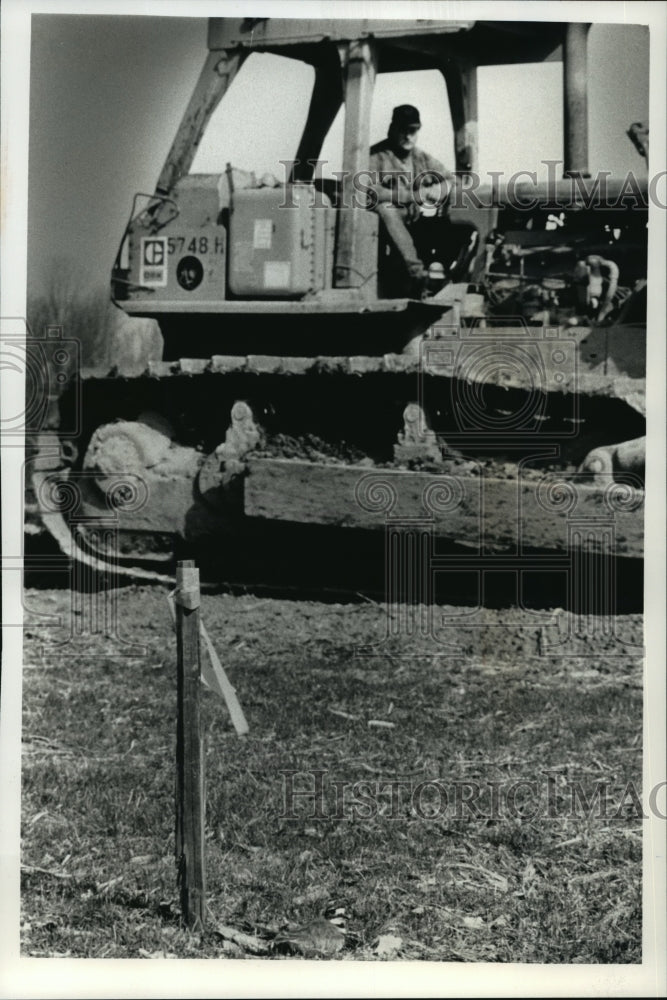 Load image into Gallery viewer, 1992 Press Photo Kyle Korba comes in close to observe the nesting killdeer
