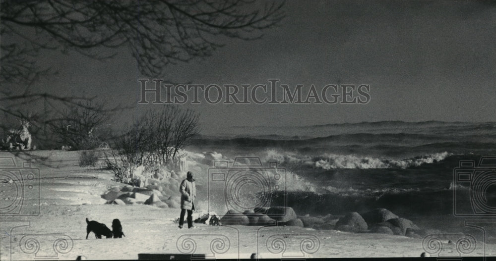 1985 Press Photo Milwaukee man and his dogs walking in Lake Park, Lake Michigan- Historic Images