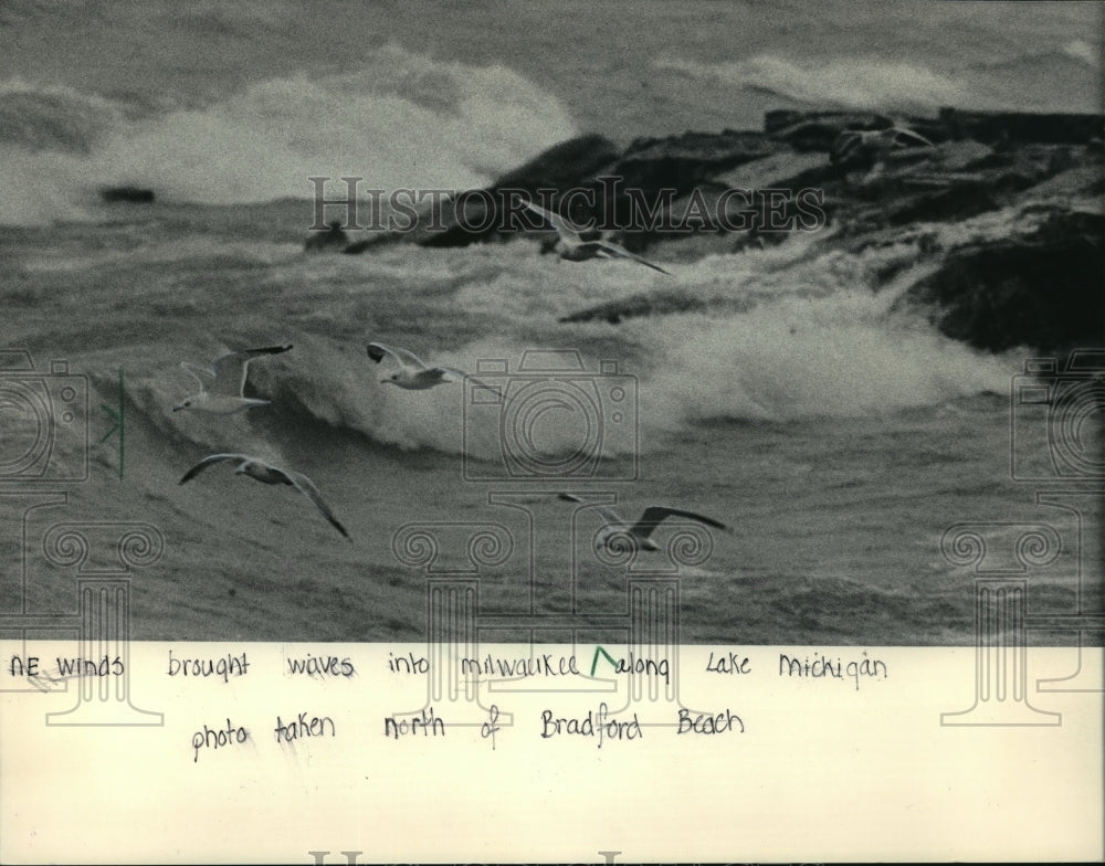 1983 Press Photo On the Milwaukee lakefront as waves crashed in the background.- Historic Images