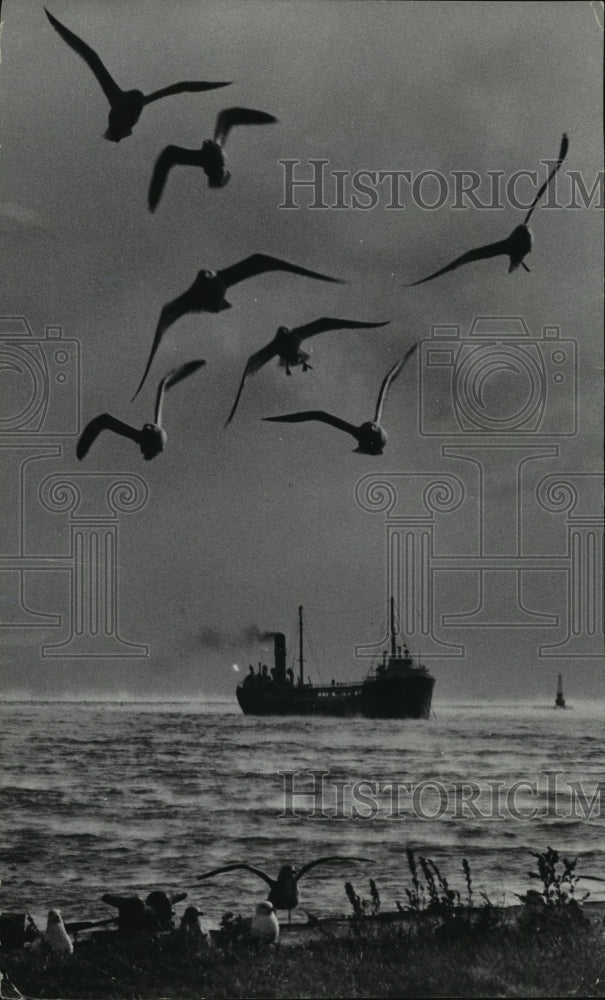 1958 Press Photo Gulls and a Boat Seen at the Milwaukee Lake Front- Historic Images