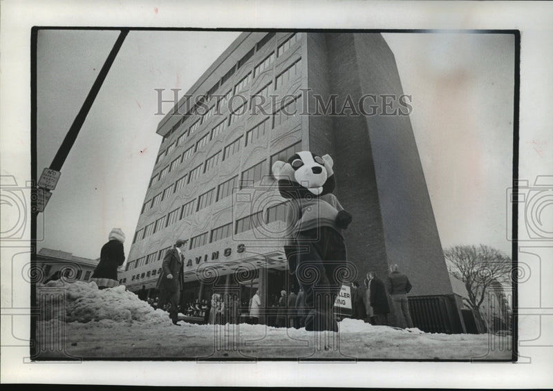 Load image into Gallery viewer, 1975 Press Photo Bucky Badger in front of Badger Federal Savings new office
