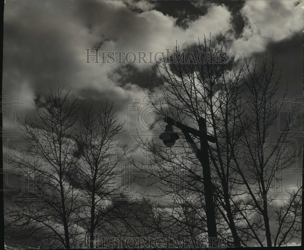 1967 Press Photo Bare Trees In Autumn In Estabrook Park In Milwaukee County