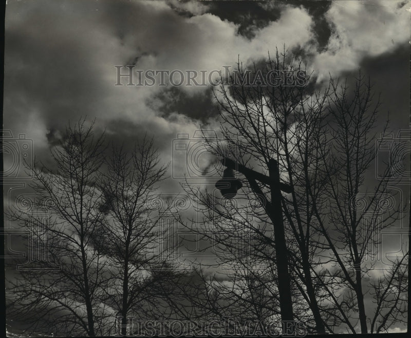 Load image into Gallery viewer, 1967 Press Photo Bare Trees In Autumn In Estabrook Park In Milwaukee County
