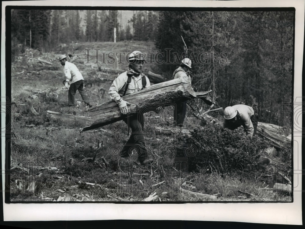 1988 Press Photo Scott Whitney Helps Clear Forest Area To Protect Power Lines