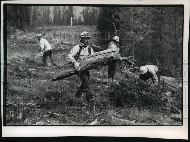 Load image into Gallery viewer, 1988 Press Photo Scott Whitney Helps Clear Forest Area To Protect Power Lines
