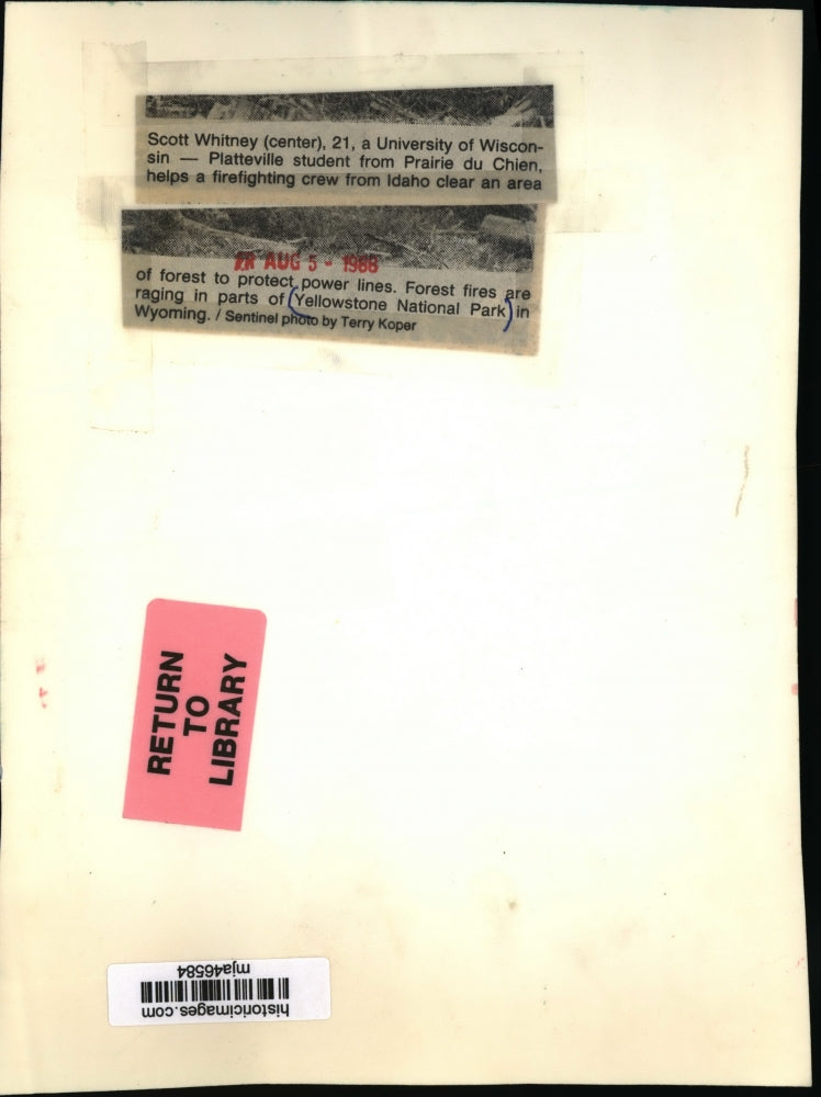 1988 Press Photo Scott Whitney Helps Clear Forest Area To Protect Power Lines