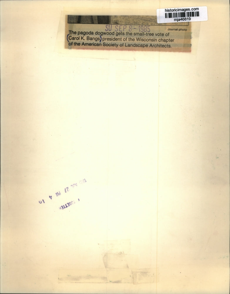 1985 Press Photo Carol K. Bangs, President of the Wisconsin Chapter of Landscape