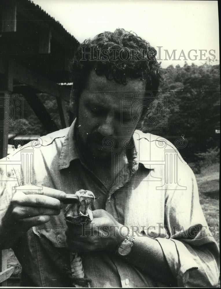 1976 Press Photo Dr. Allen Young, curator of invertebrate zoology, in Costa Rica- Historic Images