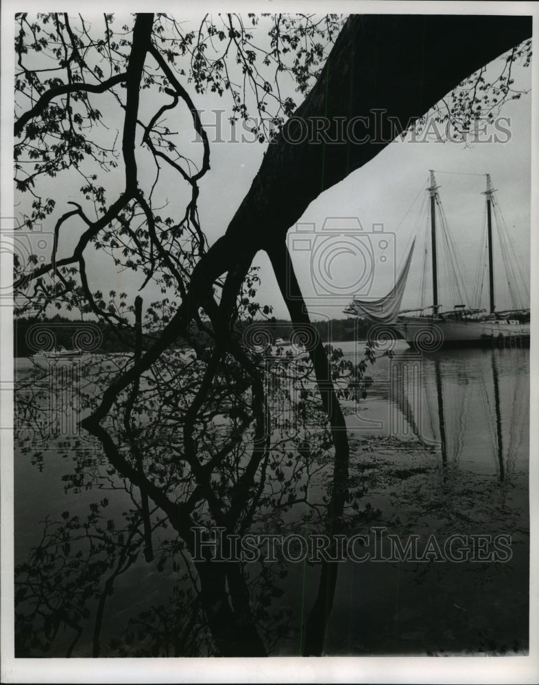 Load image into Gallery viewer, 1965 Press Photo Windjammer anchored in Bay on Maine Coast - mja51588
