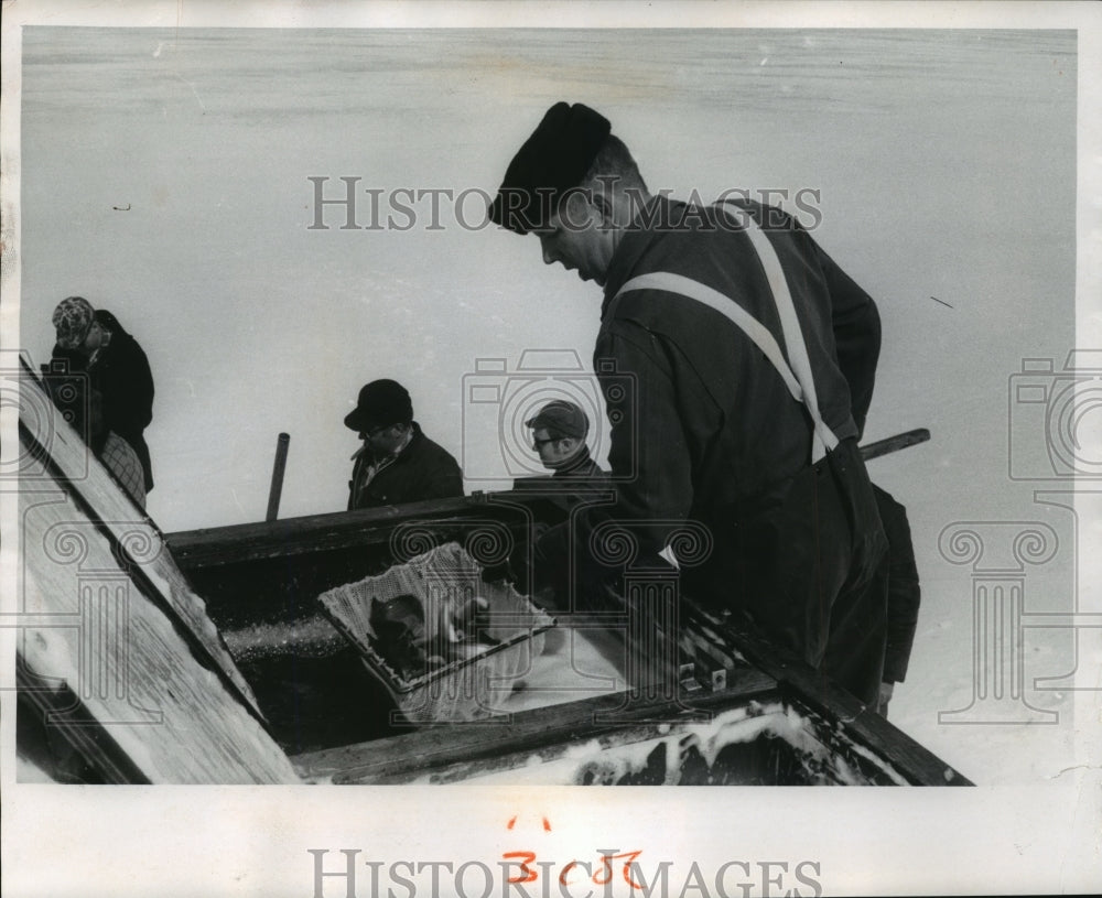 1969 Press Photo Gary Lensert, of the Wis Conservation Dept., nets Coho Salmon