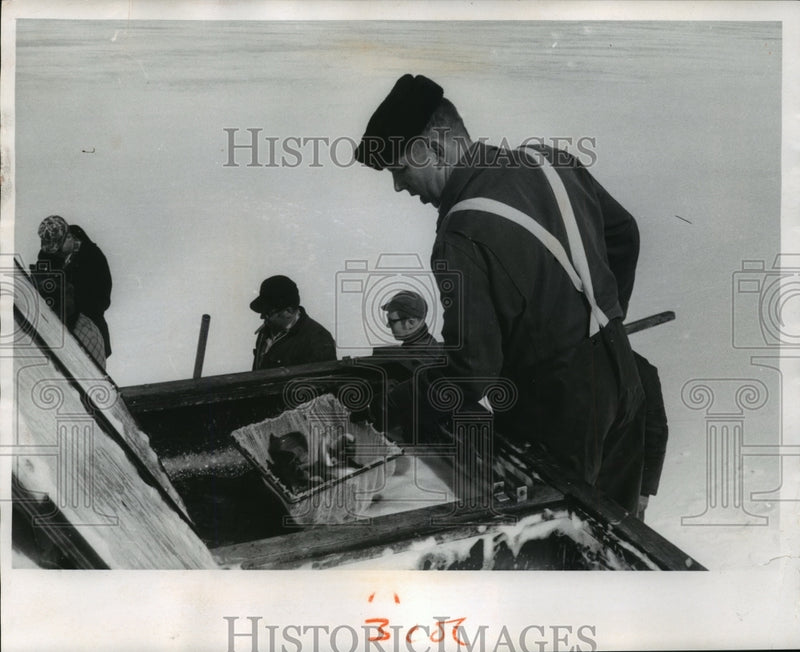 Load image into Gallery viewer, 1969 Press Photo Gary Lensert, of the Wis Conservation Dept., nets Coho Salmon
