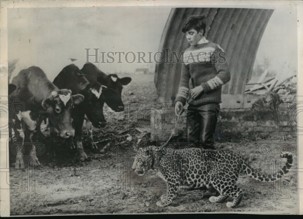 1964 Press Photo Graham Clews of Southham, England with Charlie his pet leopard- Historic Images