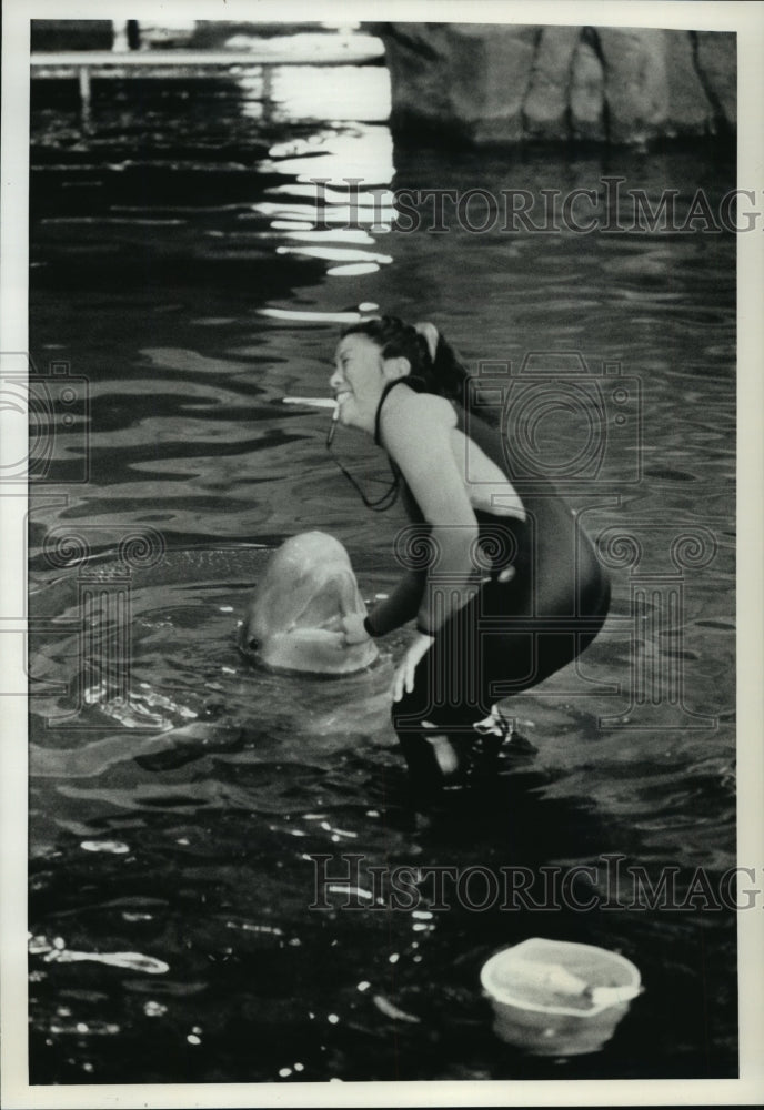 1991 Press Photo Attendant with Beluga Whales at Shedd Aquarium Oceanarium - Historic Images