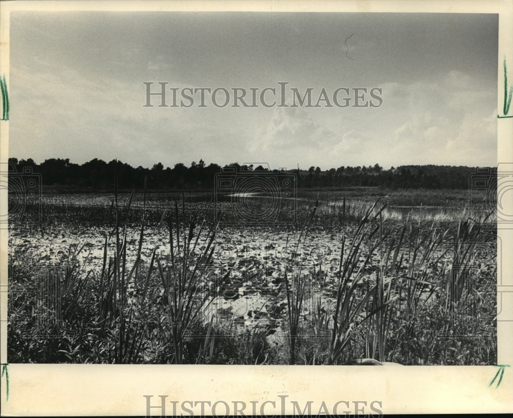 1985 Press Photo Gilbert Lake, Northern End of Big Cedar Lake, Wisconsin- Historic Images