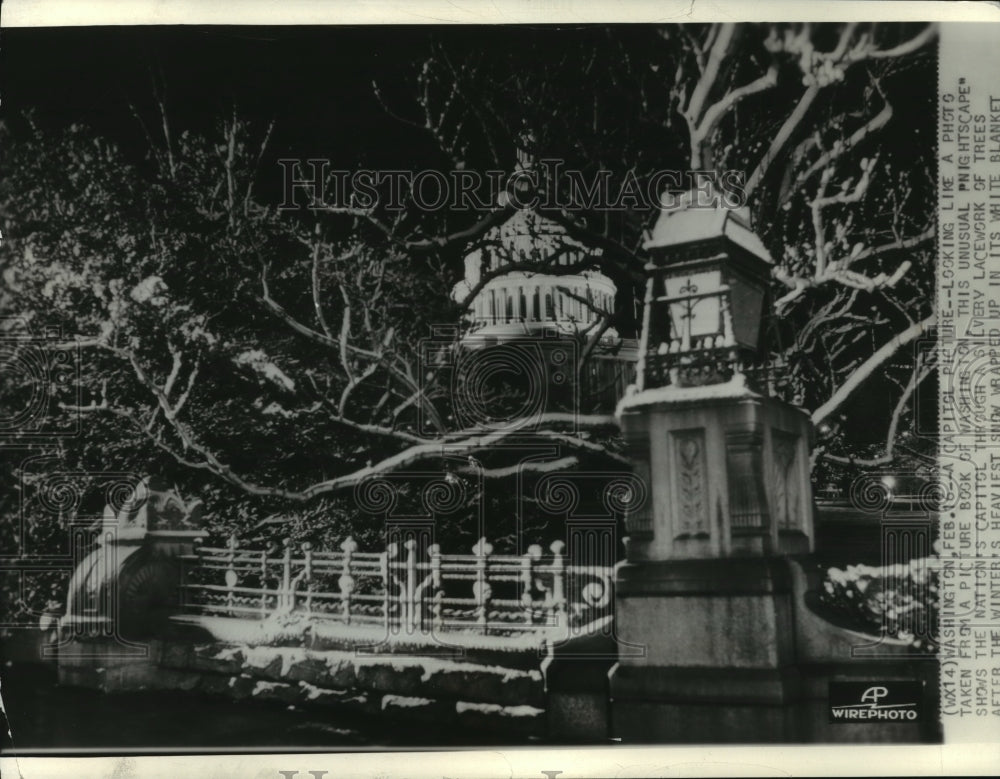  Press Photo The Capitol Building Through the Trees After Snow- Historic Images