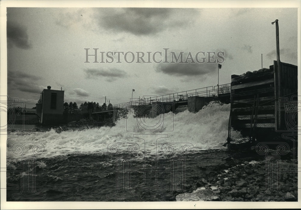 1988 Press Photo Wis.-DNR Sturgeon travel Wolf River to spawn at Shawano Dam- Historic Images