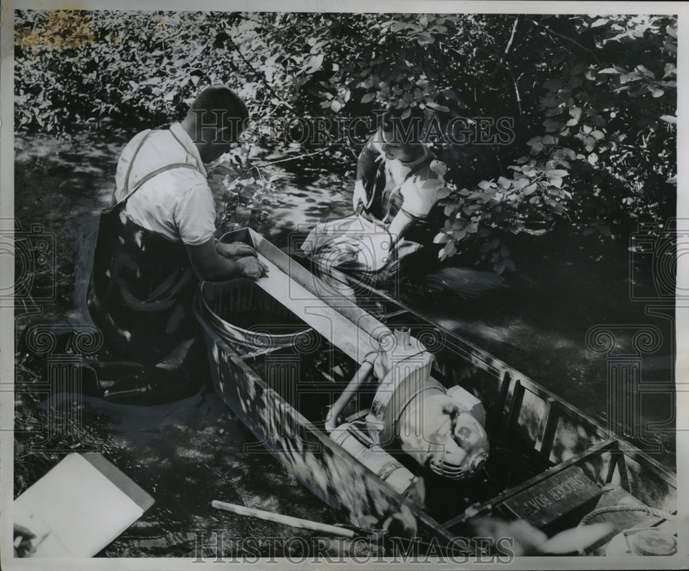 1955 Press Photo Wisconsin Conservation Department Counting Trout- Historic Images