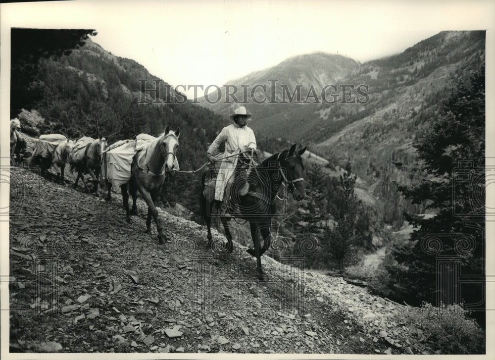 1991 Press Photo Pack Horses in the Wilderness of Wyoming- Historic Images