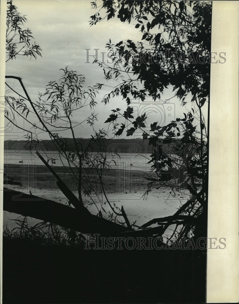 1982 Press Photo Duck Hunting On The Mississippi River- Historic Images