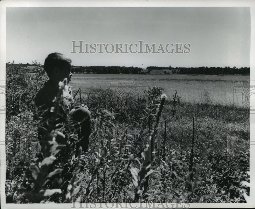 1971 Press Photo Wisconsin Kettle Moraine State Forest- Historic Images