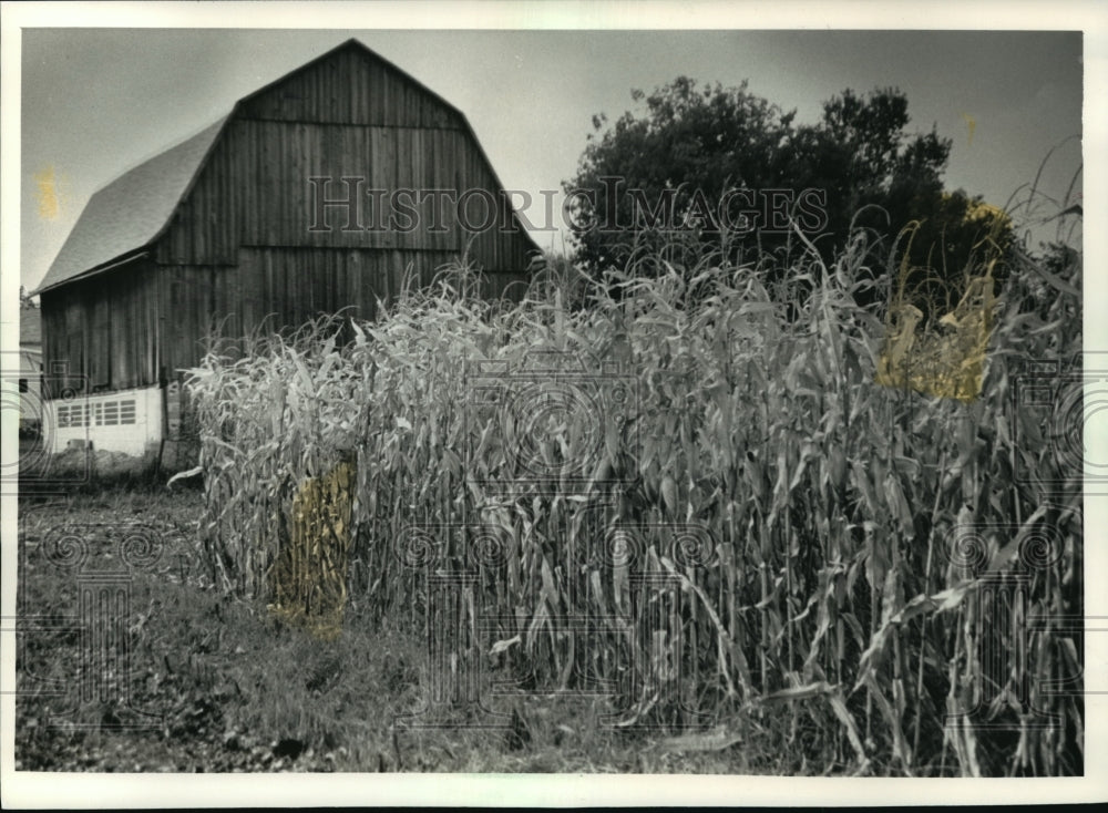 1991 Press Photo Farmland on the Kettle Moraine Scenic Drive in Wisconsin- Historic Images